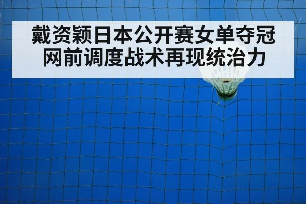 badminton net play