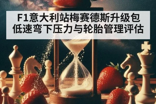 F1意大利站梅赛德斯升级包 低速弯下压力与轮胎管理评估